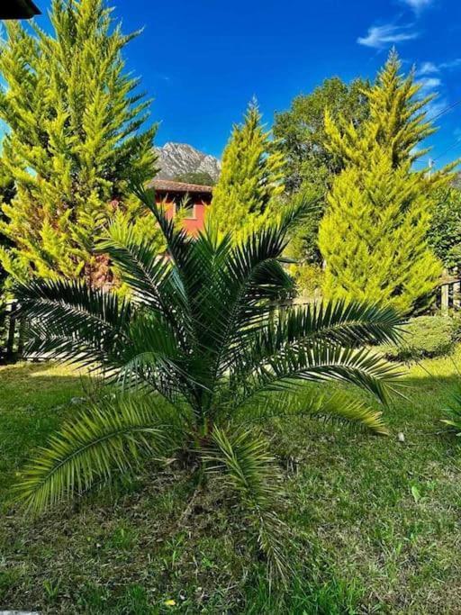 Vila La Coqueta Del Sueve Arriondas Exteriér fotografie